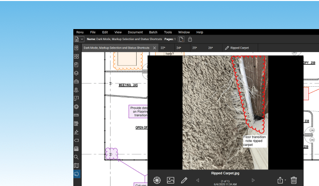 Screenshot of the Markups on Capture feature in Revu