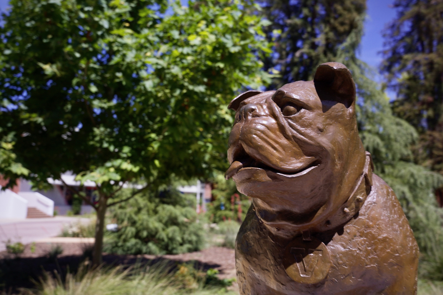 Statue of the Fresno State bulldog mascot